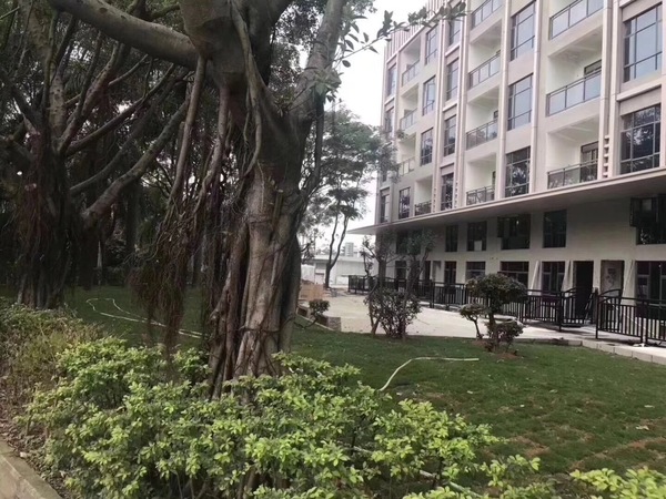 【深圳观澜小产权房】小产权和集体产权 【深圳观澜小产权房】小产权和集体产权