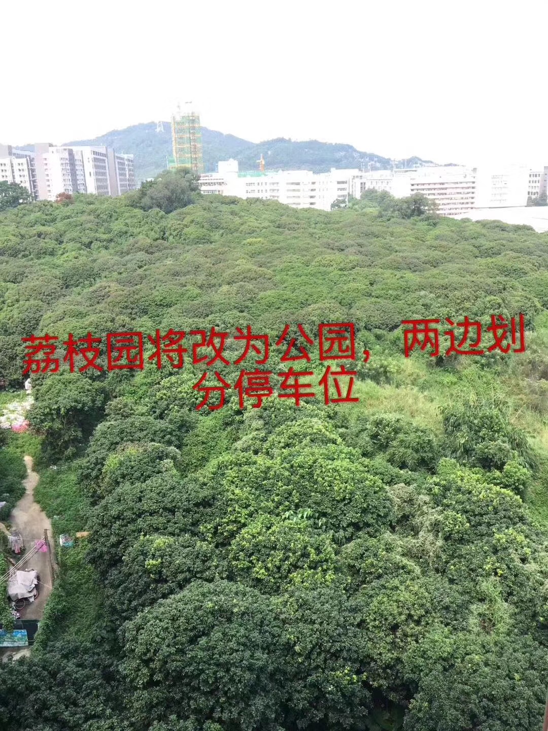 微信图片_20180912155002.jpg